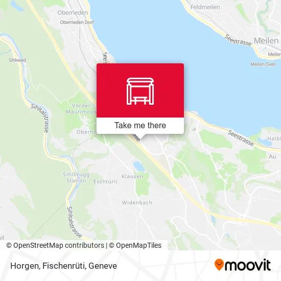 Horgen, Fischenrüti map