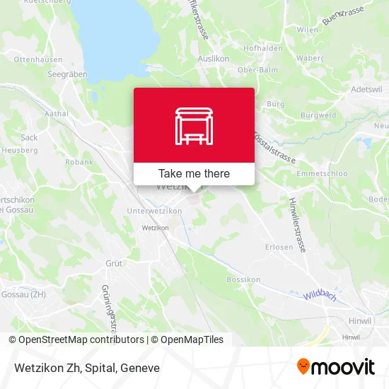 Wetzikon Zh, Spital map