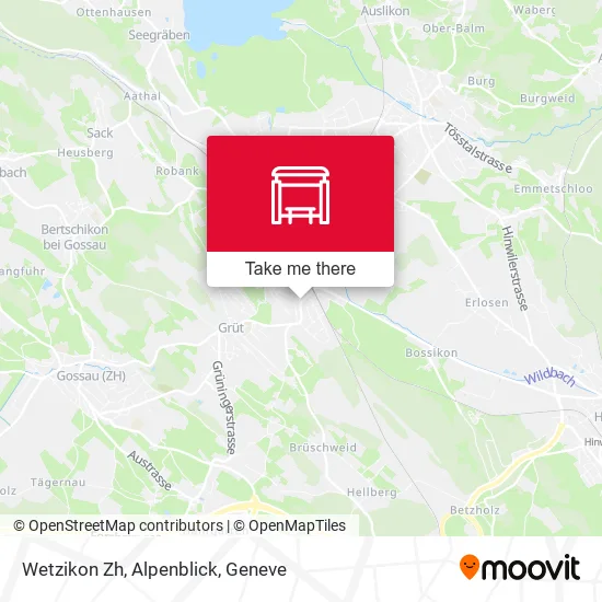 Wetzikon Zh, Alpenblick map