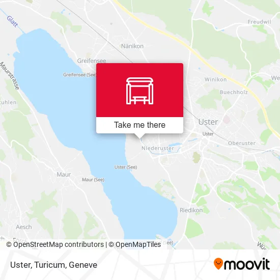 Uster, Turicum map