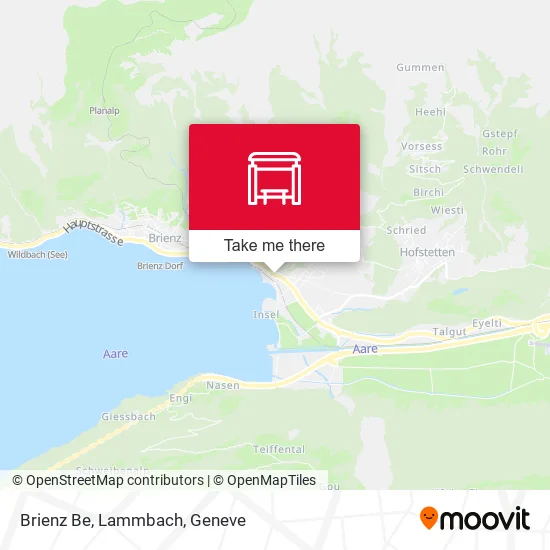 Brienz Be, Lammbach plan