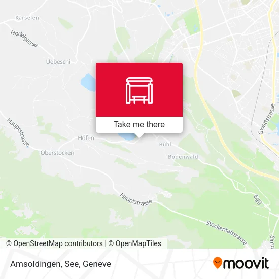 Amsoldingen, See map