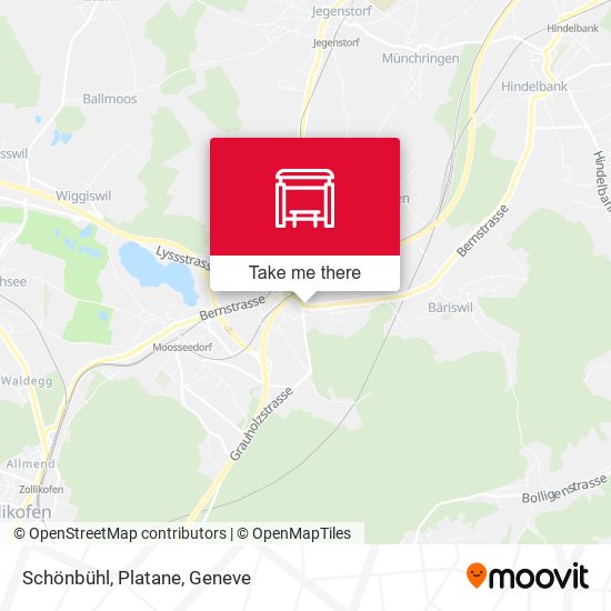 Schönbühl, Platane map