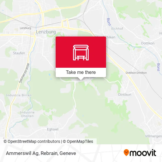 Ammerswil Ag, Rebrain map