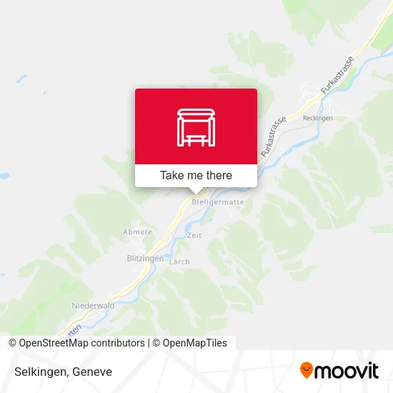 Selkingen map