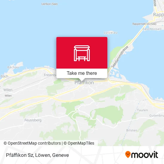 Pfäffikon Sz, Löwen map
