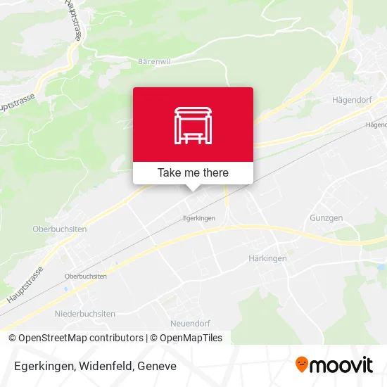 Egerkingen, Widenfeld map