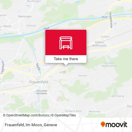 Frauenfeld, Im Moos map