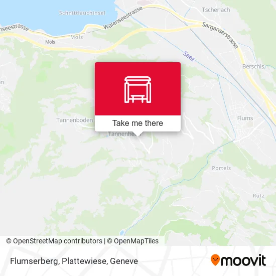 Flumserberg, Plattewiese map