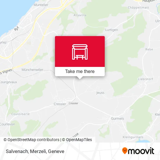 Salvenach, Merzeli map