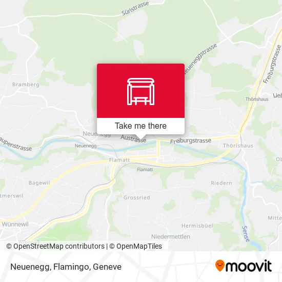 Neuenegg, Flamingo map
