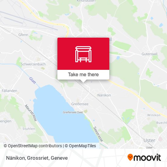 Nänikon, Grossriet map