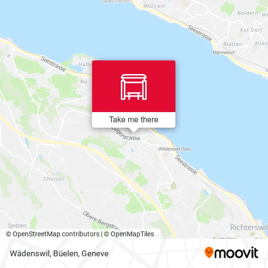 Wädenswil, Büelen plan