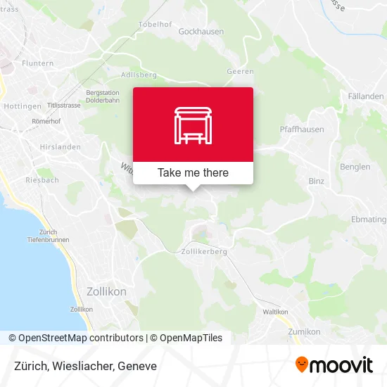 Zürich, Wiesliacher map