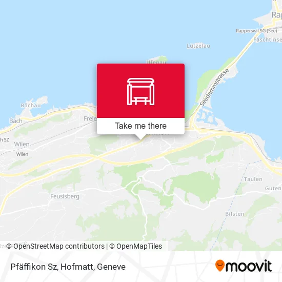 Pfäffikon Sz, Hofmatt map
