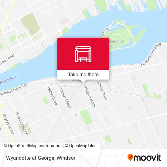 Wyandotte at George map