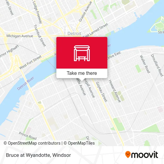 Bruce at Wyandotte map