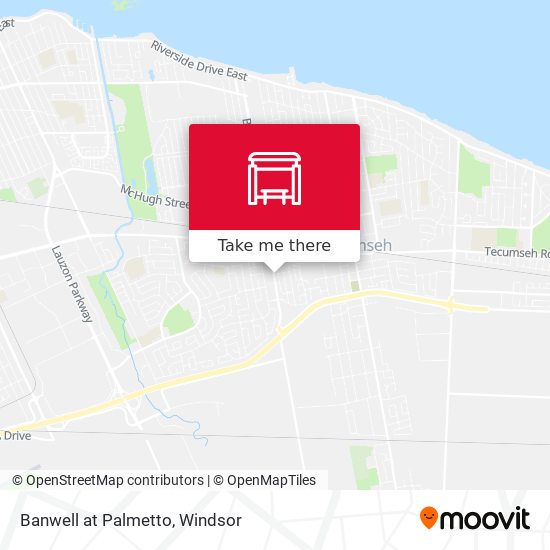 Banwell at Palmetto plan