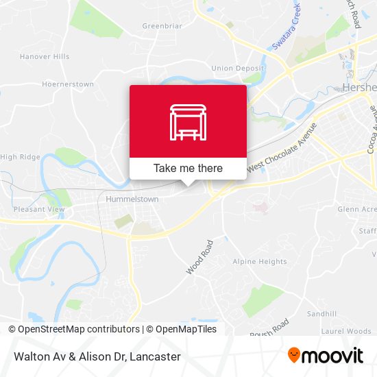 Walton Av & Alison Dr map