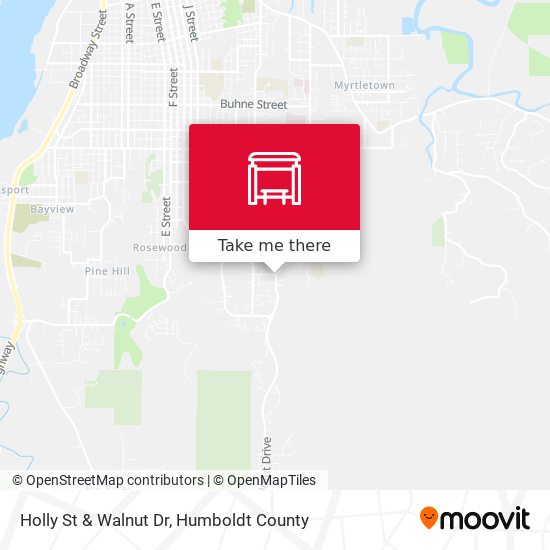 Holly St & Walnut Dr map