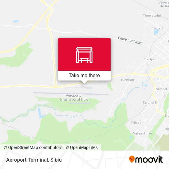 Aeroport Terminal map