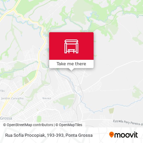 Rua Sofía Procopiak, 193-393 map