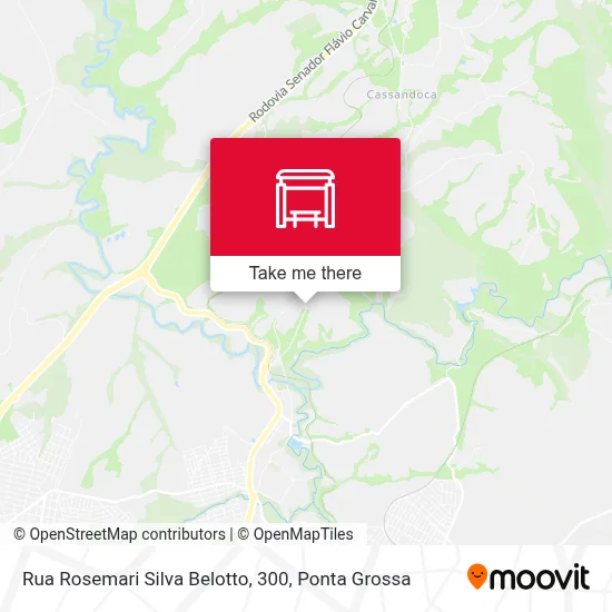 Rua Rosemari Silva Belotto, 300 map