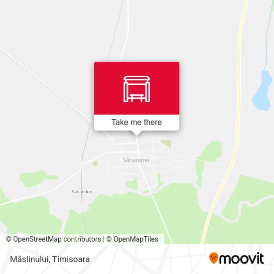 Măslinului map