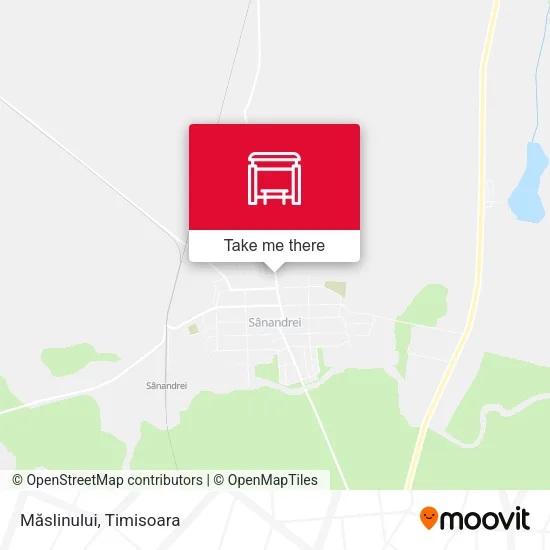 Măslinului map