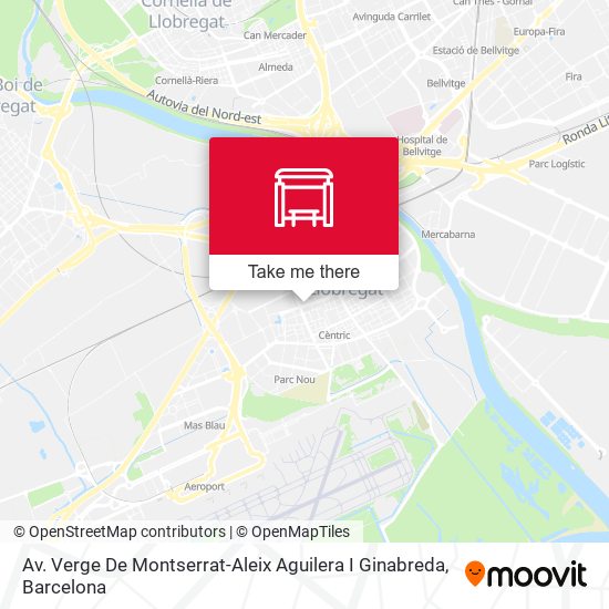 Av. Verge De Montserrat-Aleix Aguilera I Ginabreda map
