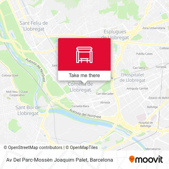 Av Del Parc-Mossèn Joaquim Palet map
