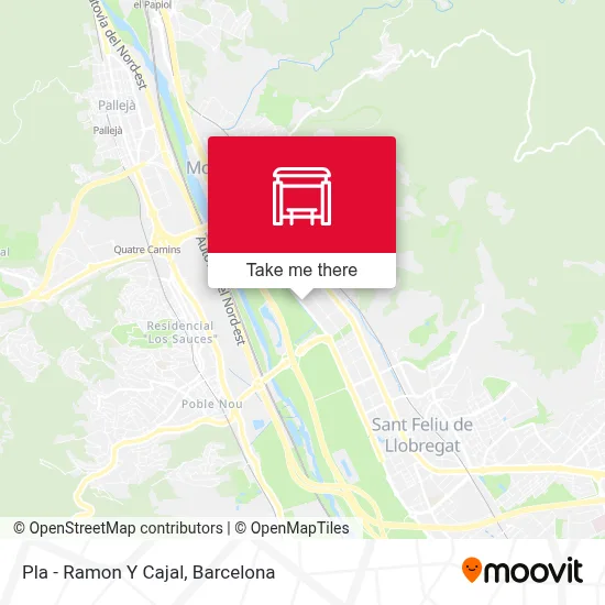 Pla - Ramon Y Cajal map
