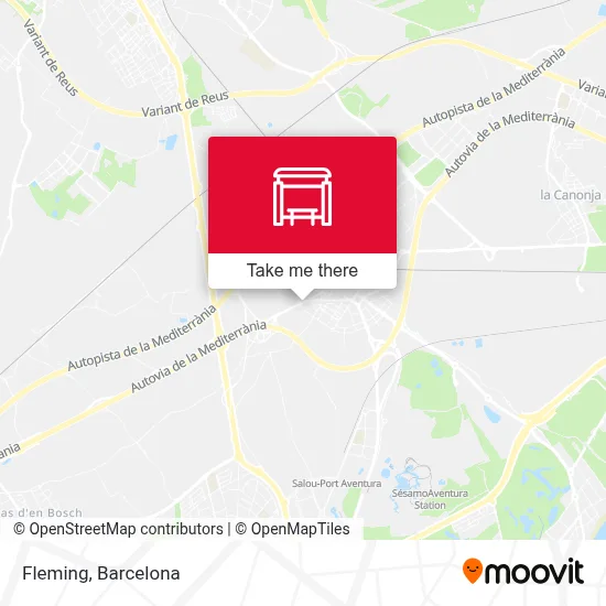 Fleming map