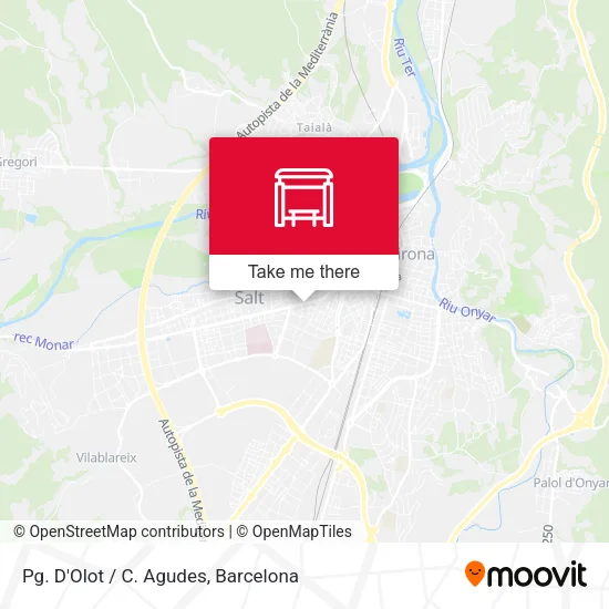 Pg. D'Olot / C. Agudes map