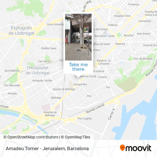 Amadeu Torner - Jerusalem map