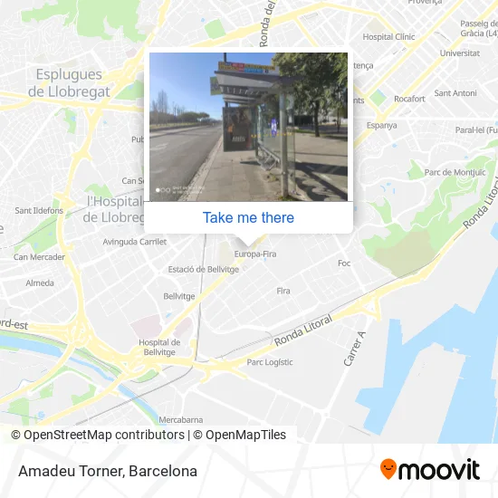 Amadeu Torner map