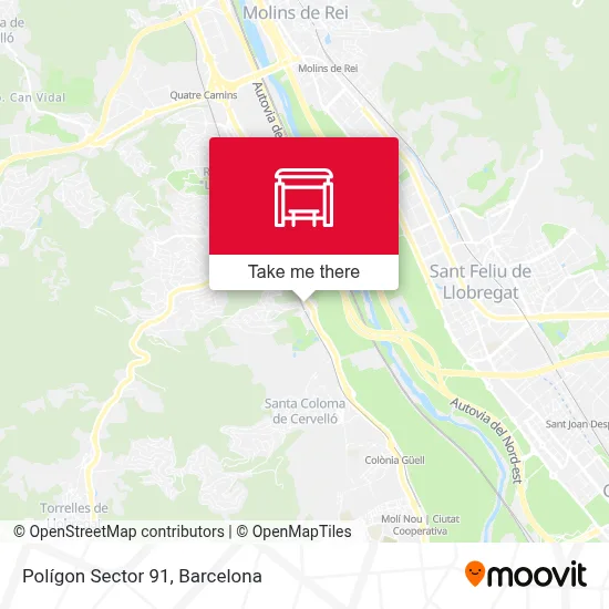 Polígon Sector 91 map