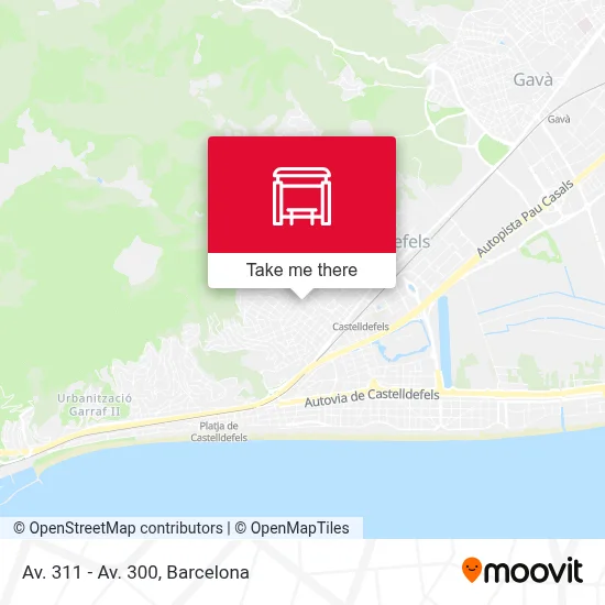 Av. 311 - Av. 300 map