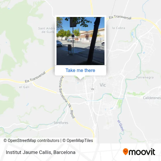 Institut Jaume Callis map