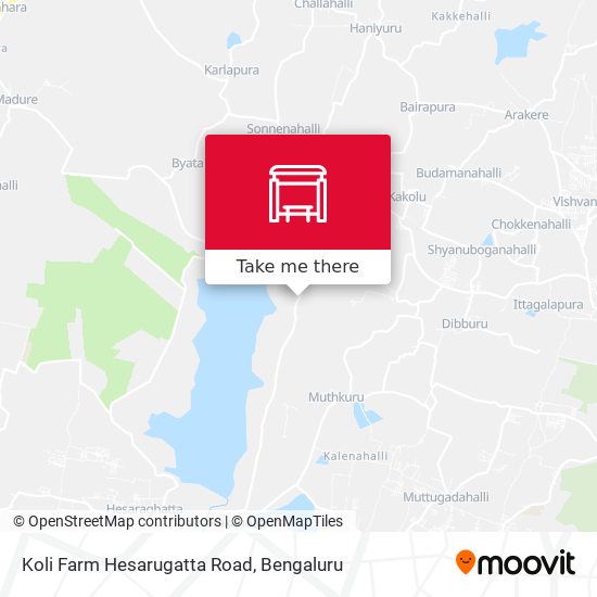 Koli Farm Hesarugatta Road map