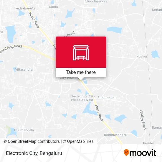 Electronic City map