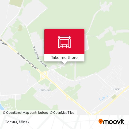 Сосны map
