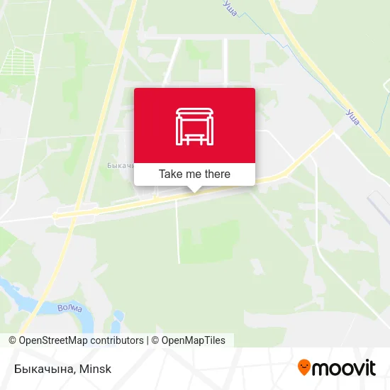 Быкачына map