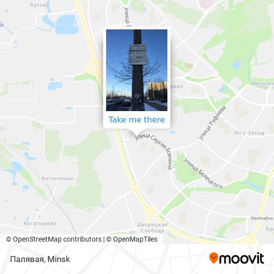 Палявая map