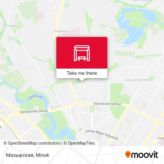 Мазырская map