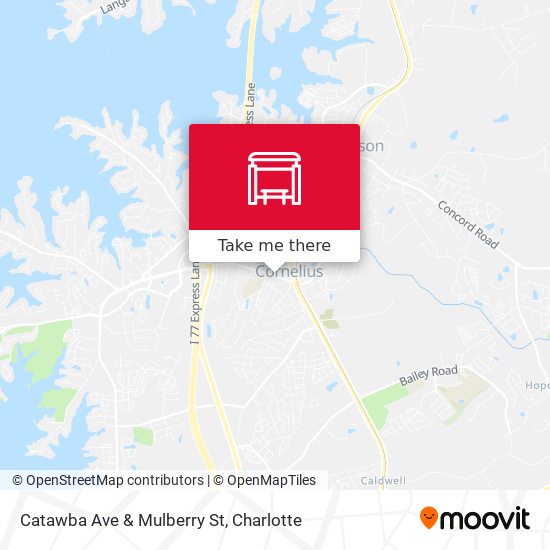 Catawba Ave & Mulberry St map