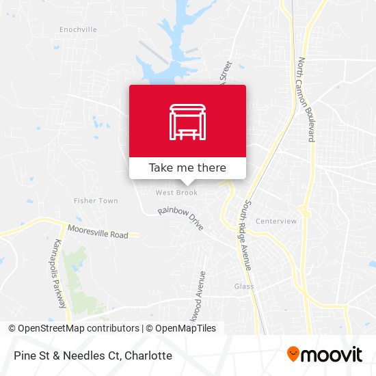 Pine St & Needles Ct map