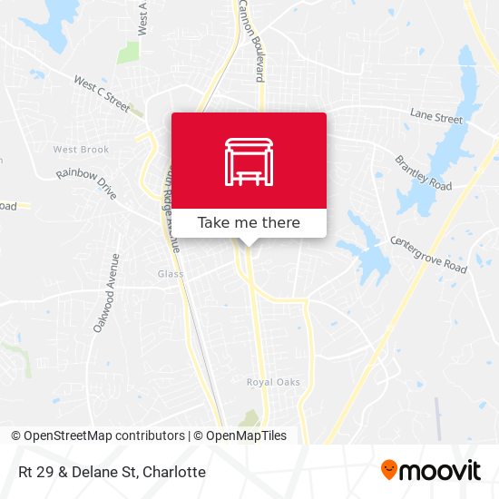 Rt 29 & Delane St map