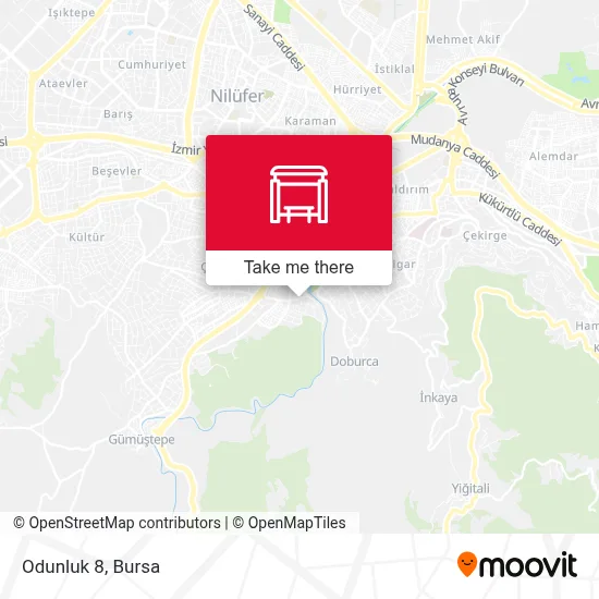 Odunluk 8 map