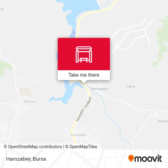 Hamzabey map